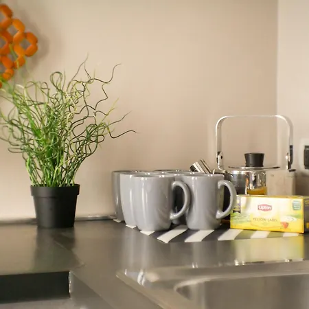 Romarex Luxury Apartment Rom
